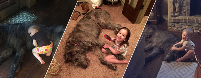 jasperAndKids jasperAndKids